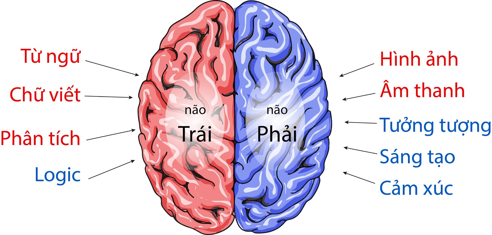 3. Ứng Dụng Lý Thuyết Não Phải Trong Cuộc Sống