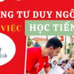 Xây Dựng Tư Duy Ngôn Ngữ Bằng Việc Học Tiếng Anh Cùng Hệ Thống Giáo Dục IMA Việt Nam