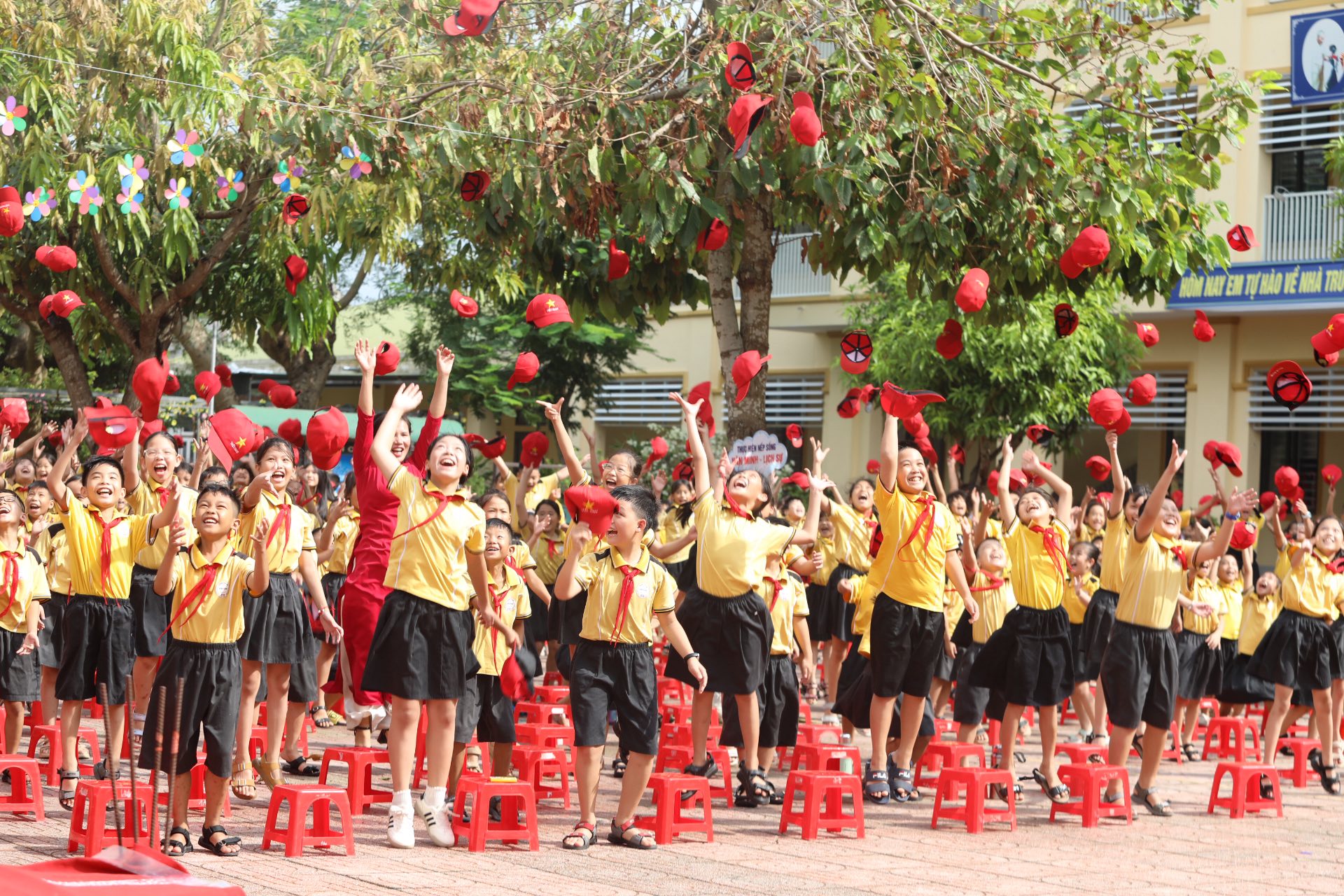 IMA Việt Nam - Nơi tương lai tỏa sáng